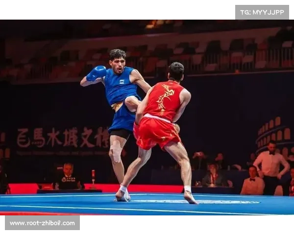 传统武术与现代搏击对决 专家呼吁理性看待赛果