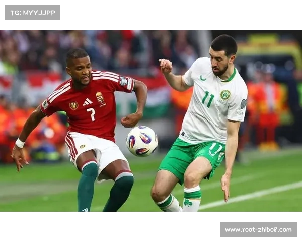 帕罗特读秒绝杀上演帽子戏法，爱尔兰3-2逆转匈牙利晋级附加赛